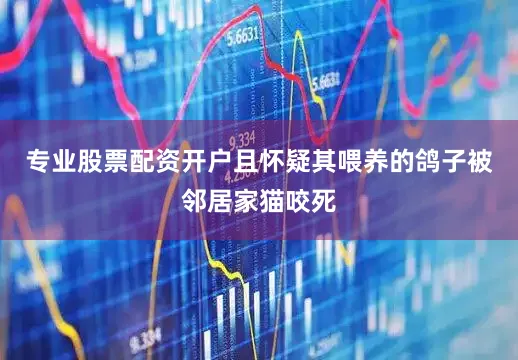 专业股票配资开户且怀疑其喂养的鸽子被邻居家猫咬死