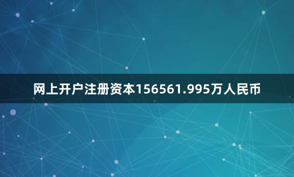 网上开户注册资本156561.995万人民币