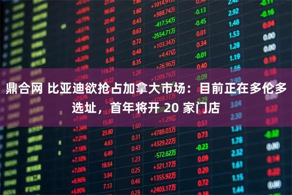 鼎合网 比亚迪欲抢占加拿大市场：目前正在多伦多选址，首年将开 20 家门店
