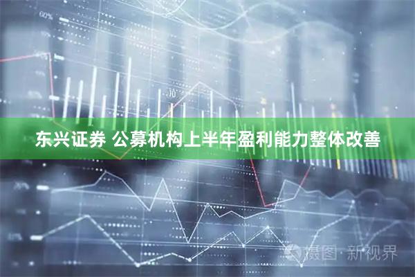 东兴证券 公募机构上半年盈利能力整体改善
